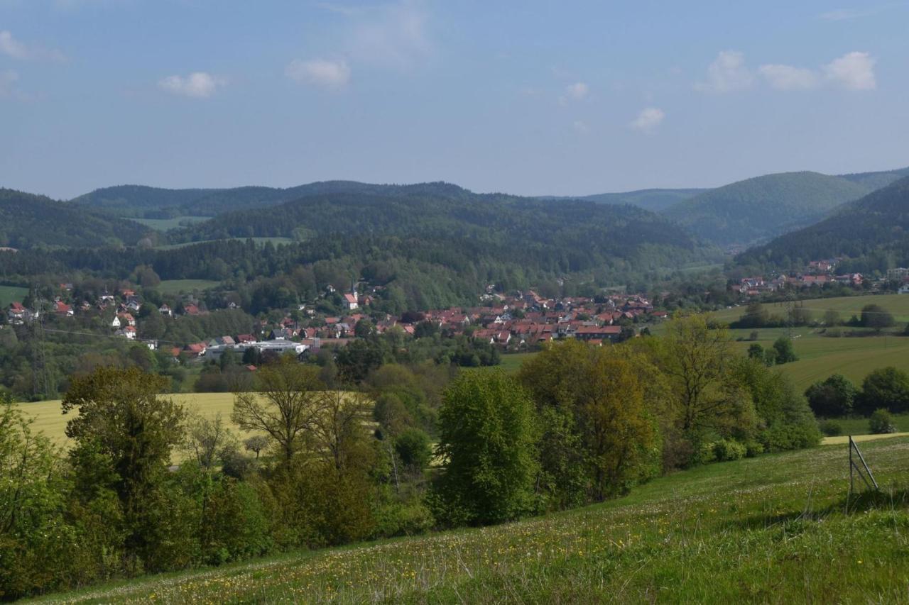 Ferienhaus Zur Waldauer Hoehe Mit 3 Sz, 120Qm & 40Qm Balkon Schleusingen Eksteriør billede